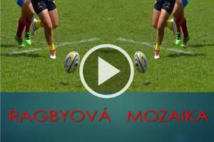 Medák podotýká ... V osmi extraligových ragbyových týmech hraje 22 hráčů starších 38 let Medák podotýká ... V osmi extraligových ragbyových týmech hraje 22 hráčů starších 38 let