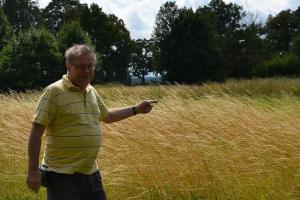 Bývalé ragbyové hřiště v Přelouči je navrženo do soustavy Natura 2000 Bývalé ragbyové hřiště v Přelouči je navrženo do soustavy Natura 2000