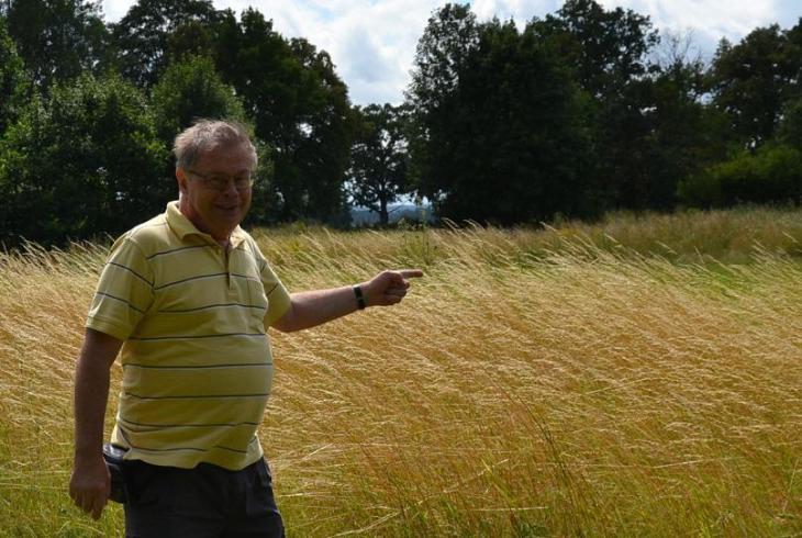 Bývalé ragbyové hřiště v Přelouči je navrženo do soustavy Natura 2000 Bývalé ragbyové hřiště v Přelouči je navrženo do soustavy Natura 2000